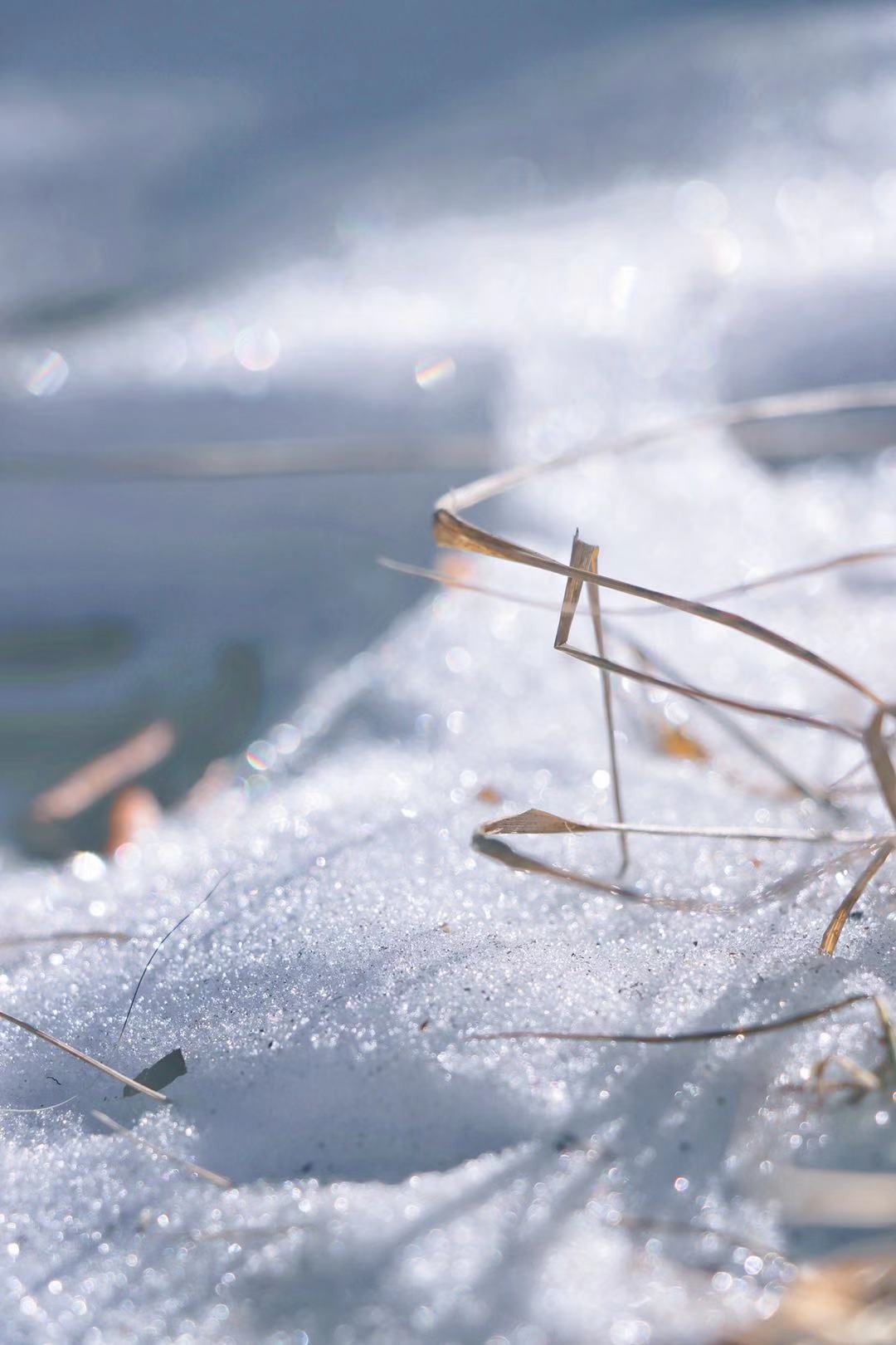 听说离昆明最近的雪山下雪了快一起去玩吧