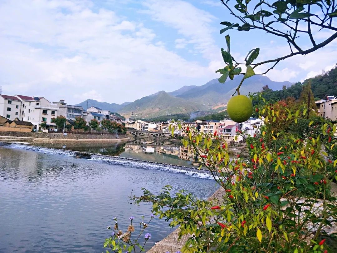 竹口溪现如今,水清,岸绿,景美的竹口溪检测数据显示,浙闽交接断面水质