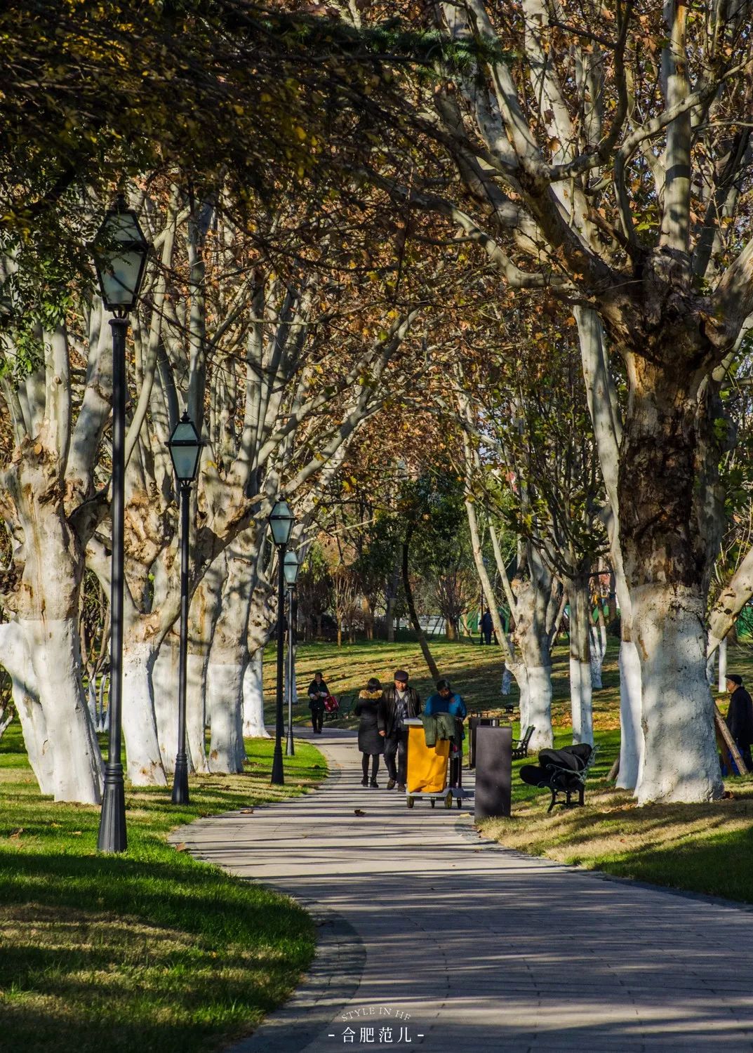 花冲公园,25年,谢谢你!