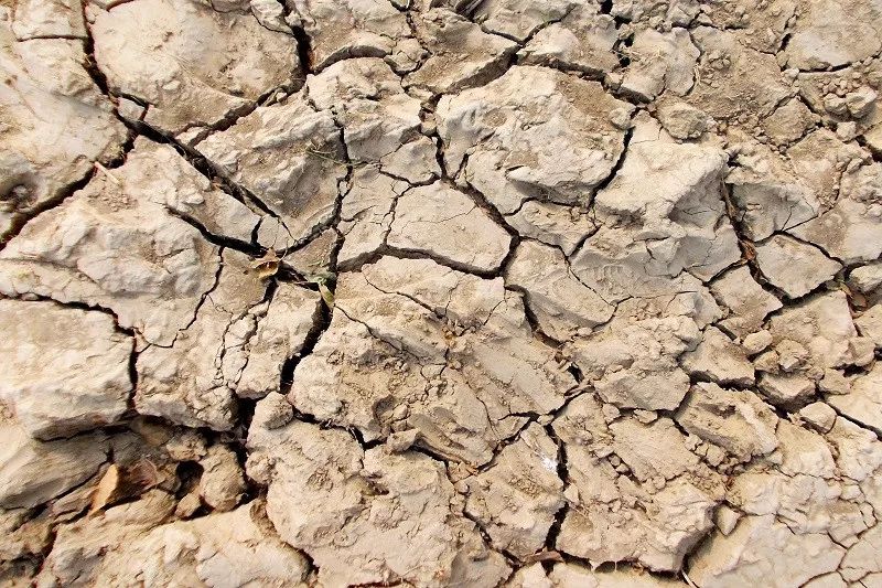 眼下却因为我们的不合理使用破坏了土壤的结构环境,造成土壤盐碱化