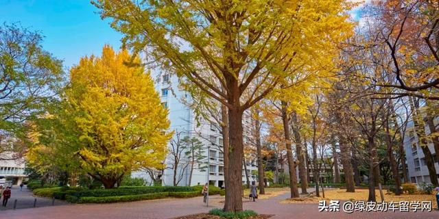 高田马场 中国留学生的主场 私塾