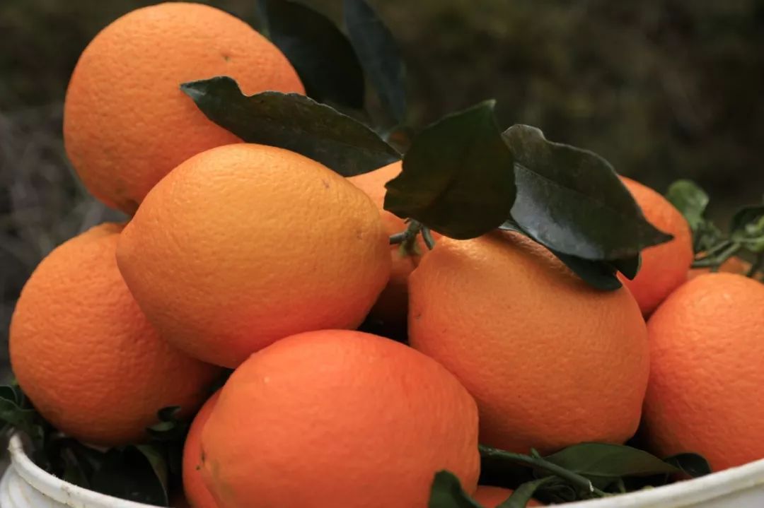 藏在深山里的美味橙意十足蒙自仅此一家