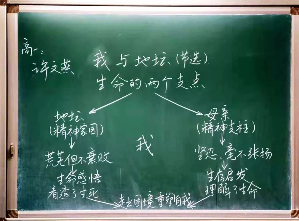 傾情培育桃李揮筆書寫芳華二十中學粉筆字板書設計大賽掠影