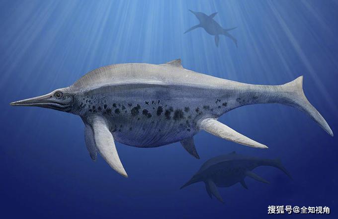 史上最成功的海爬家族,体长40厘米到26米不等,碾压同期蛇颈龙!_鱼龙