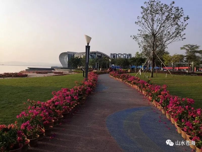 苍海风景这边独好