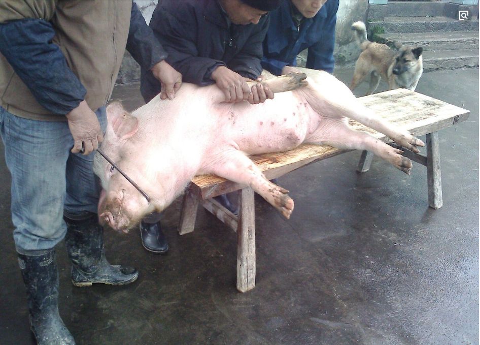 祁门的杀猪饭,吃的不是饭,而是.