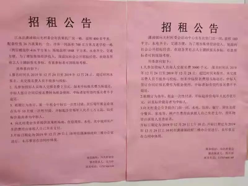 向光村发布招租公告啦
