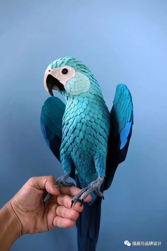 80后设计师转行做"纸鸟",每片羽毛都美到令人止不住惊叹!