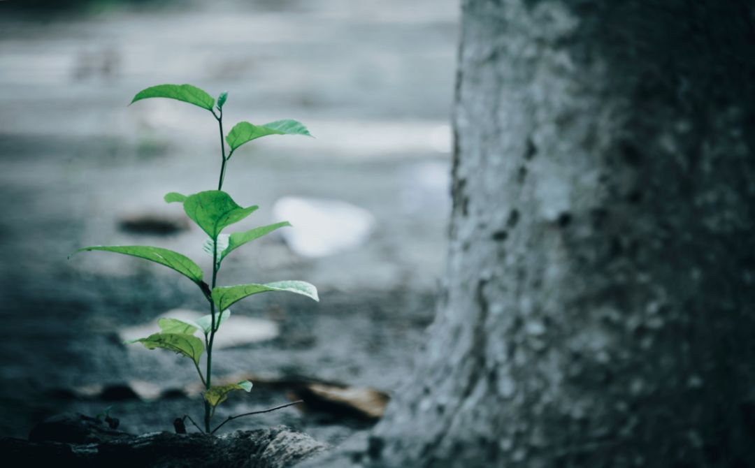 人生總在慢慢經歷慢慢懂得