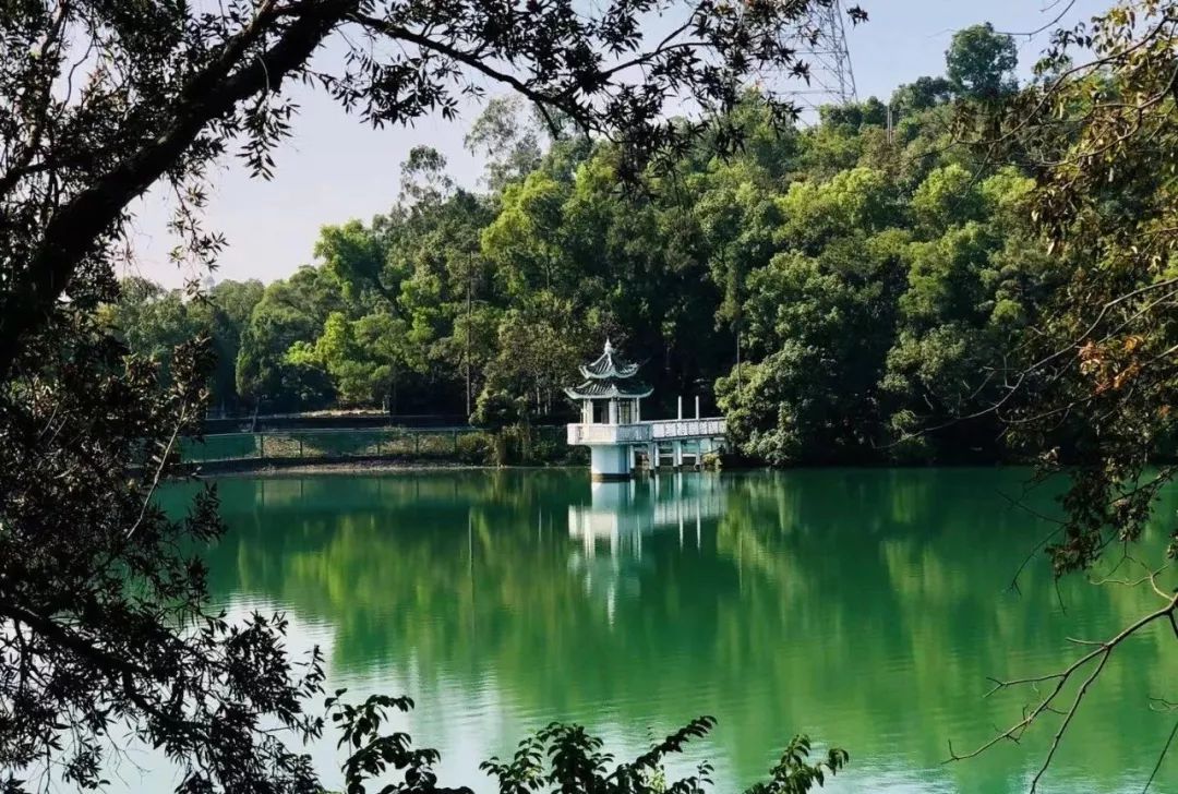 全域旅游城市绿肺台城石花山公园