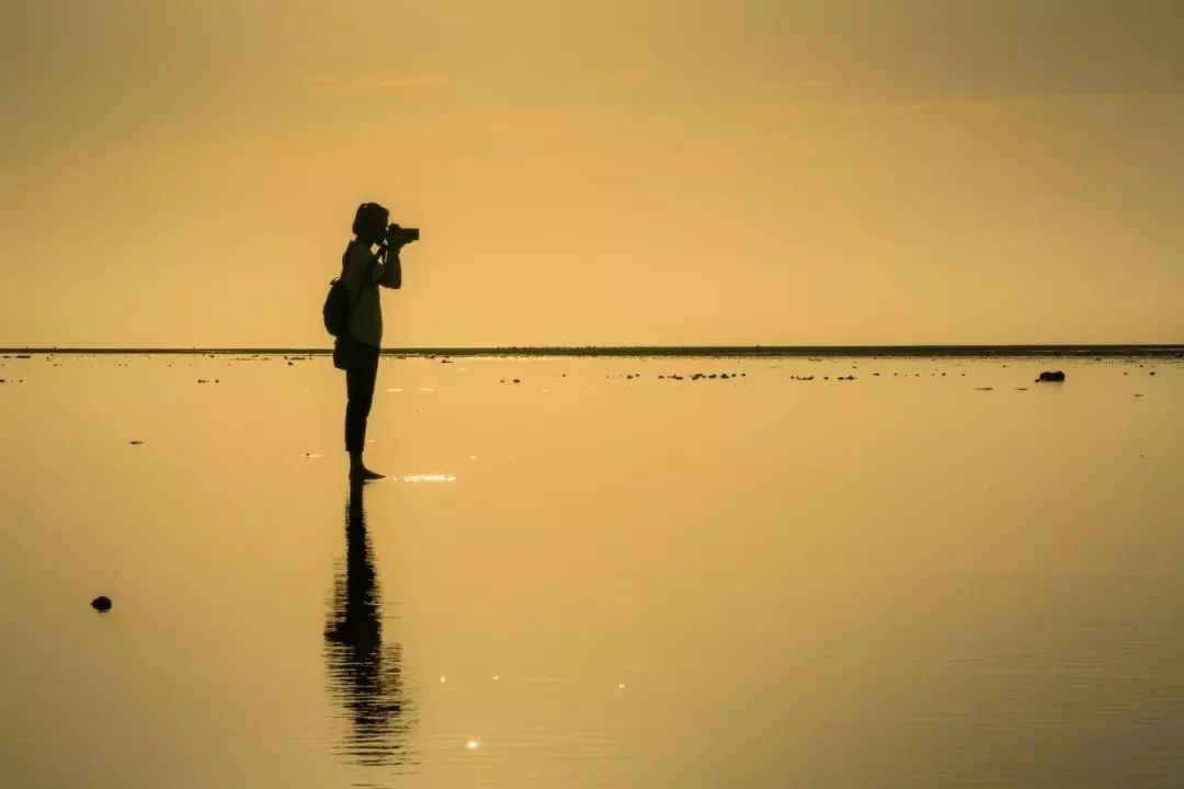 荐读淡是人生最深的底色