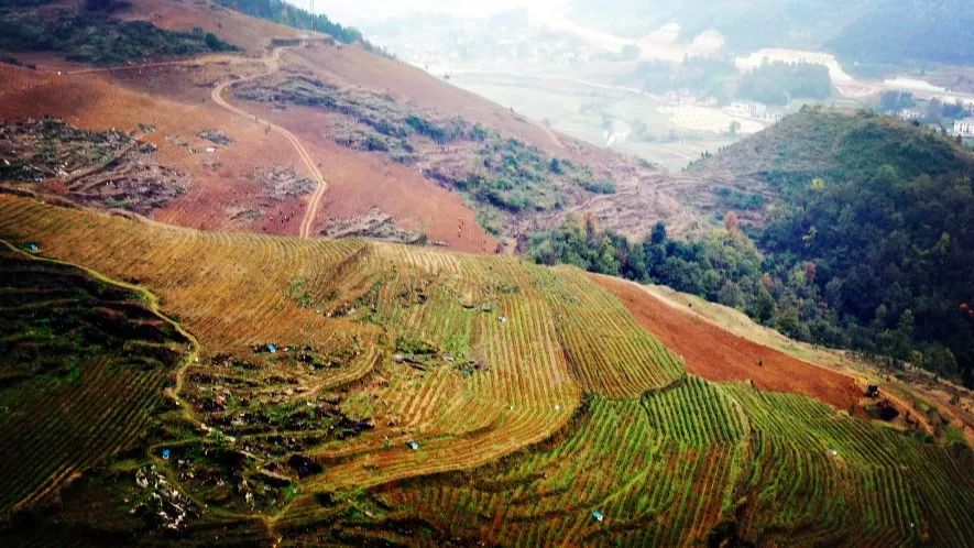 蒲场镇:着力打造群众家门口的"绿色银行"