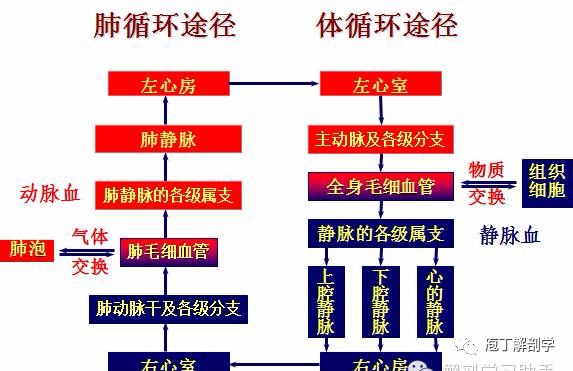 心_cm