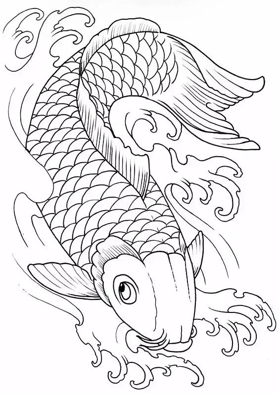 干货难得一见锦鲤高清白描线稿全部画一遍学会画锦鲤很简单