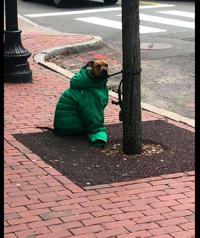 能不能帮我把衣服解开点,我好热啊!