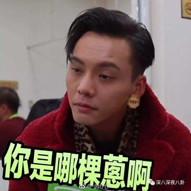这位小猪先生也是一名网红(后文就称猪哥吧),原名邱斯钿,看照片有人