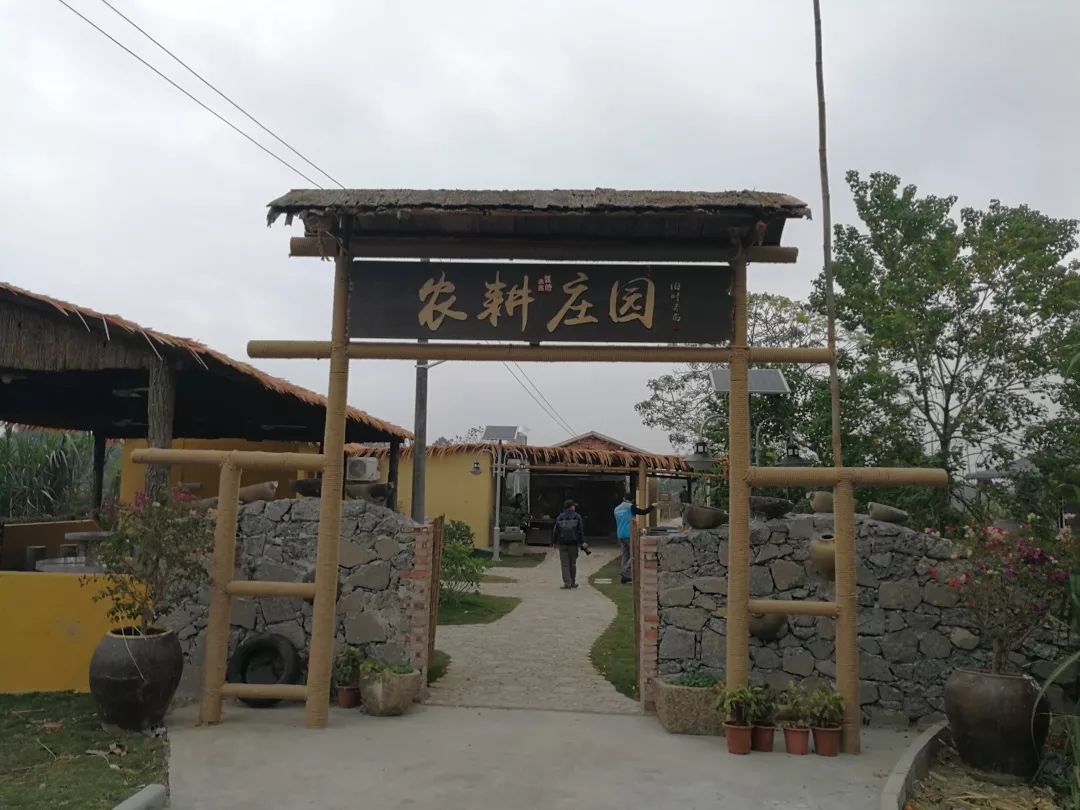 赤西村的脱贫致富经,牛_种植