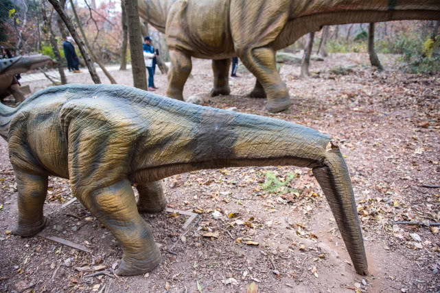 原创武汉最大恐龙谷,数百条全仿真恐龙,有数十个活灵活现"真"恐龙