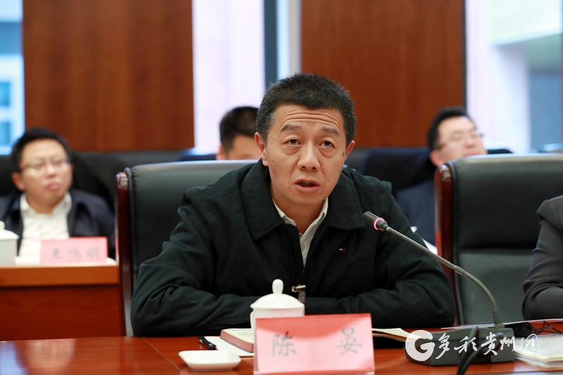 贵阳市委副书记,市长陈晏表示,将坚决按照中央,省委的决策部署,坚定不