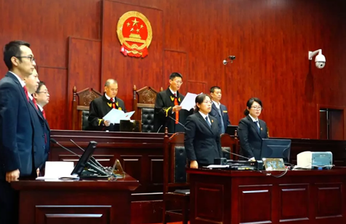 平度法院一审公开宣判张龙龙等16人涉恶案件