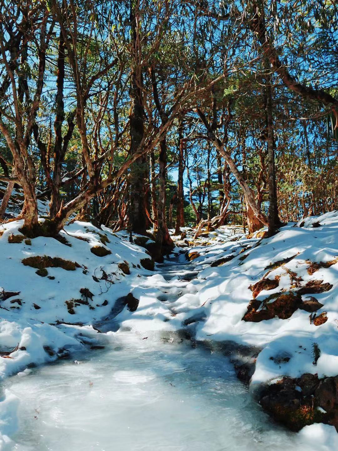 听说离昆明最近的雪山下雪了快一起去玩吧
