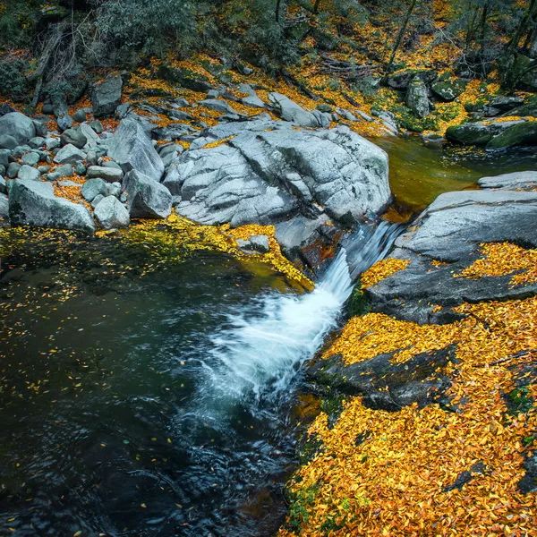 快来欣赏!"山水画廊·秀美巴中"光雾山全国摄影大展拟入展作品公示