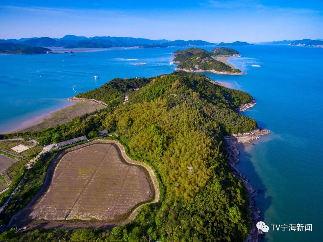 供稿:强蛟镇 吴立高