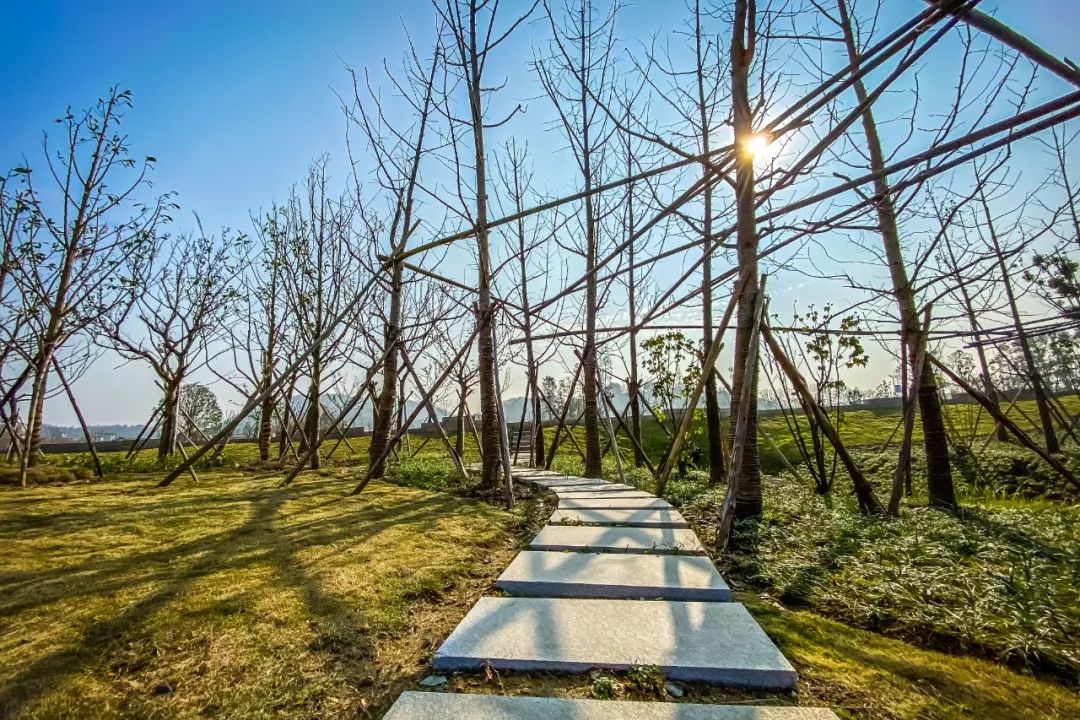 慈城探花公园来了慈城南门旅游线路全线贯通