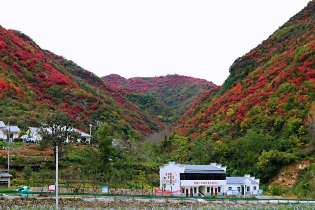 襄阳市南漳县东巩镇昌集村,宜昌市当阳市半月镇胡家湾村