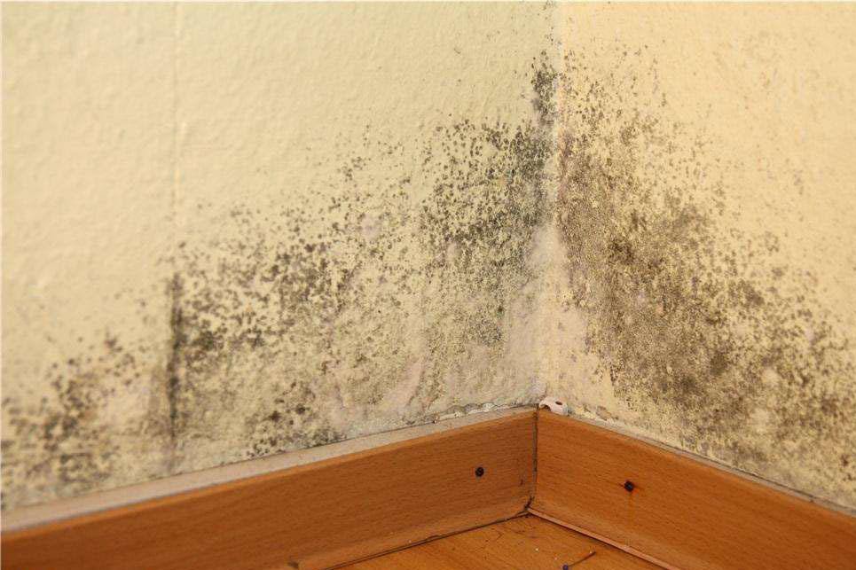 一楼装修防潮如果没有注意这些,后期想拆了房子的心情有.