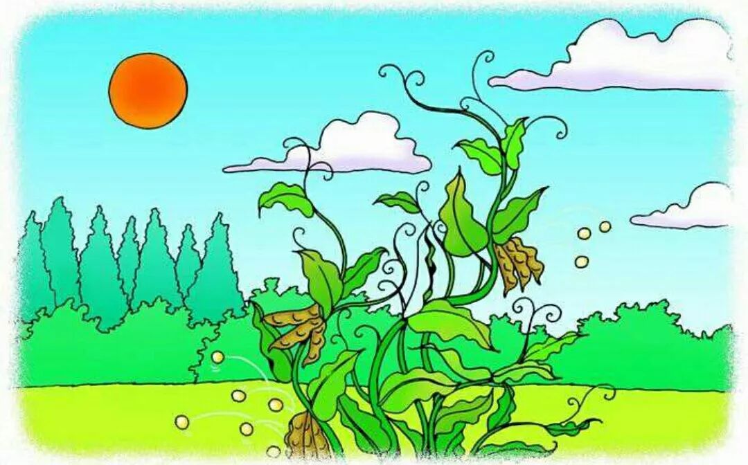 植物妈妈有办法朗读者何国玉