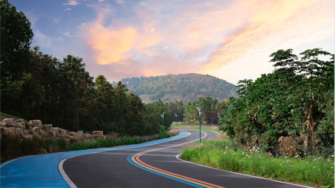 这一次上兴镇被评为2019年度十佳生态休闲宜居小镇它究竟有何魅力