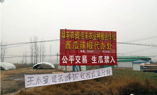 昨天直播的时候收到网友求助,曹集乡一西瓜收购点被拉起横幅,究竟怎么