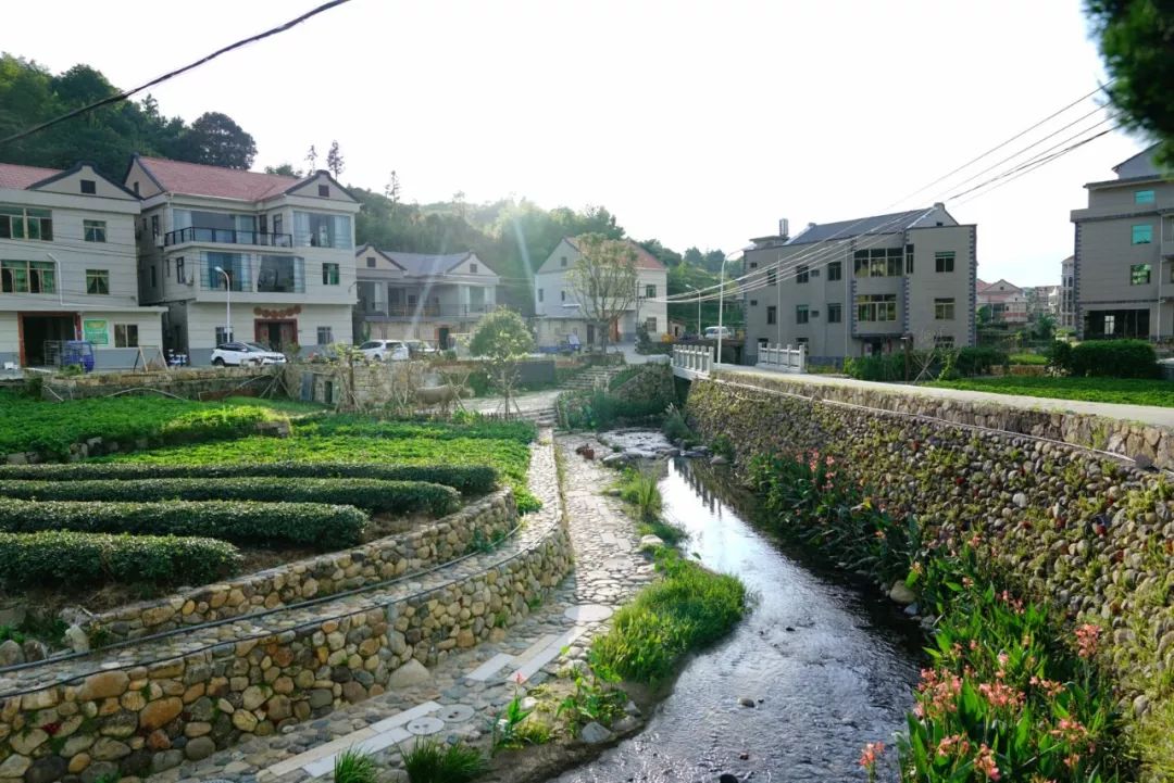 昔ta是偏僻落后的小山村今ta是同安炙手可热的明星村