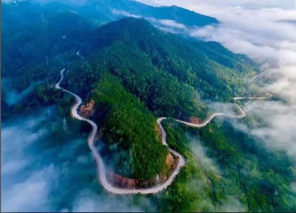 跑陆马·看陆河⑦走进"四好农村路"全国示范县