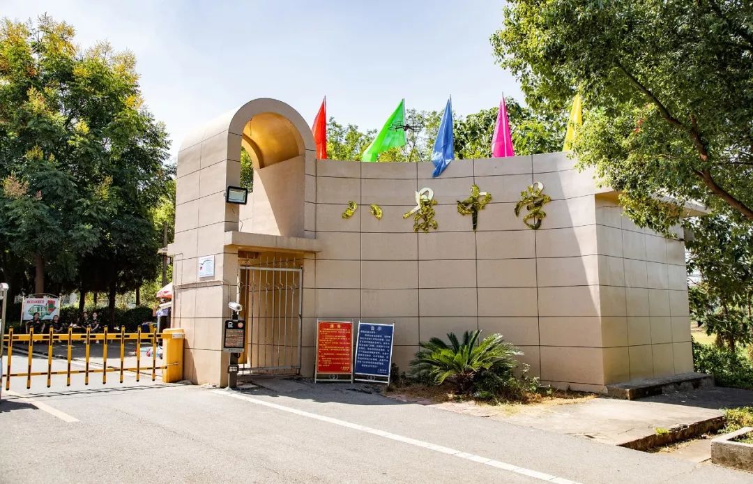 放飞梦想 绽放青春,八景初中第三届艺术节文艺汇演!