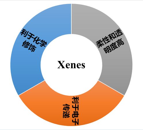 单原子层二维材料Xenes发展历程及进展梳理 - 沐易-沐易