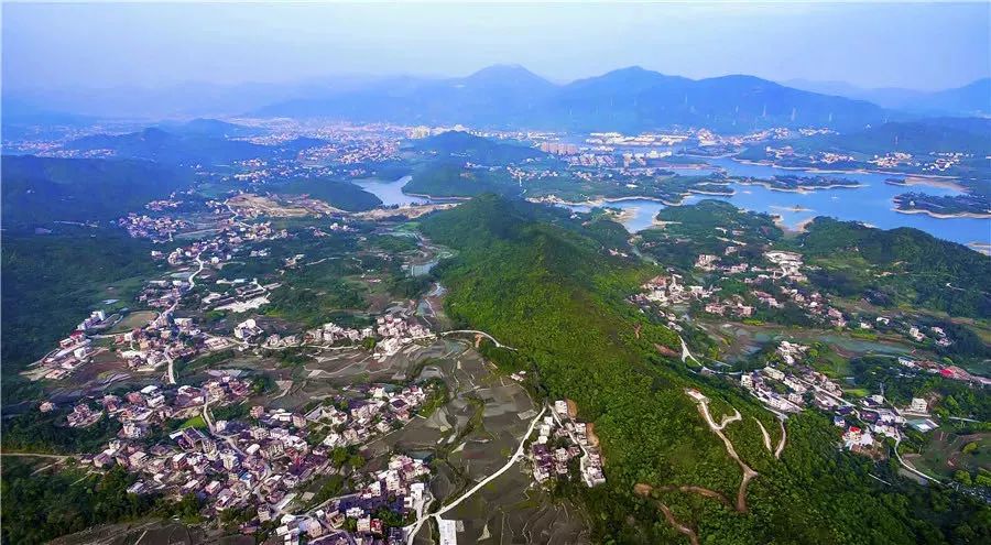 作为省级乡村振兴试点村,新庵村积极推动各项乡村振兴项目建设,日前