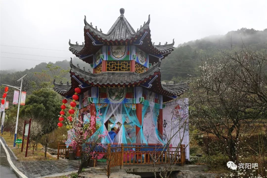 香飘十里不如宾阳陈平梅花节的故事里有你