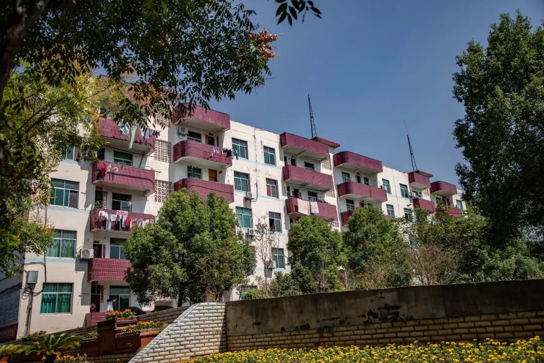 放飞梦想 绽放青春,八景初中第三届艺术节文艺汇演!