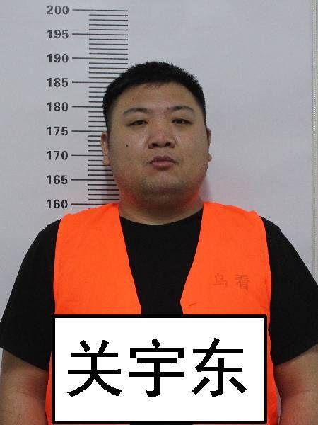 关于征集关成志(绰号:关大力),关宇东等人组织,领导,参加黑社会性质