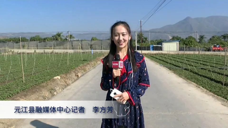 云南广播电视台2019年大型融媒体直播节目《花开彩云南》完美收官