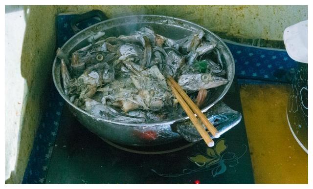 好心阿姨每天餵養流浪貓，一到飯點屋簷站滿貓咪，場面很是壯觀！ 寵物 第1張