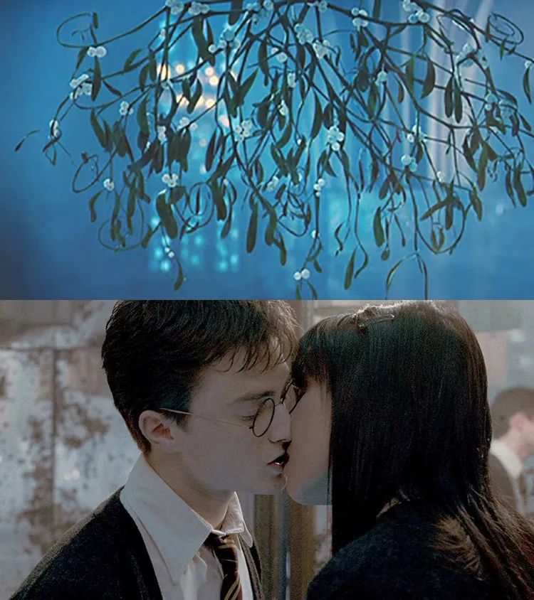 哈利波特与秋接吻图片