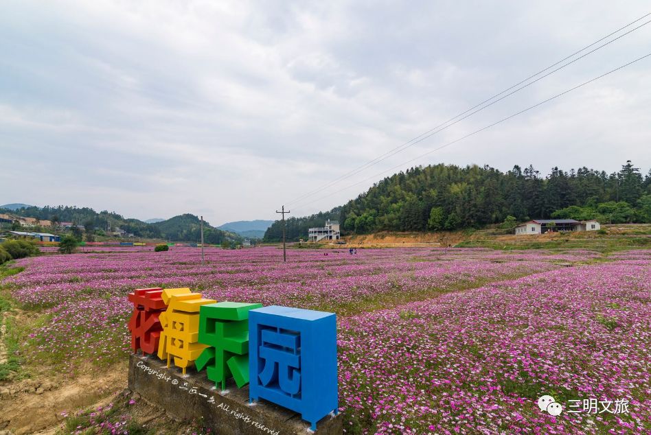 月2日 梅列之夜美食汇 梅列清枫谷风景区 举办时间 元旦期间 相聚桃源