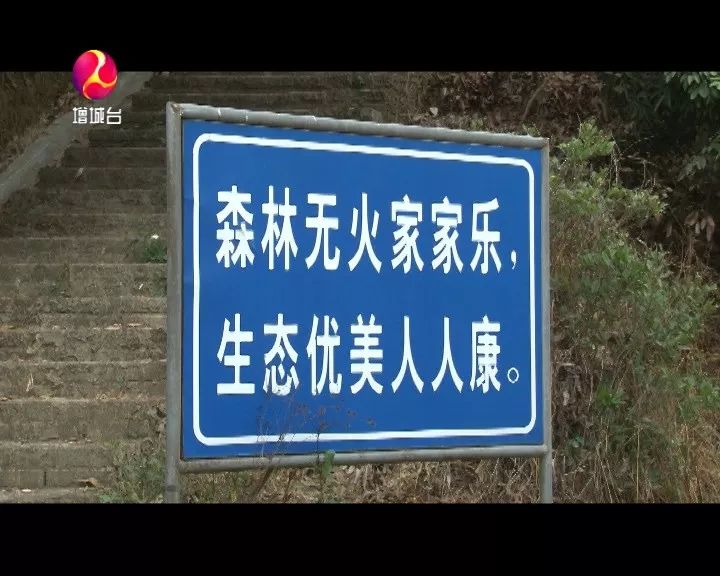 增城區森林消防大隊隊長張運深呼籲市民,一定不要帶火種進入林區,同時