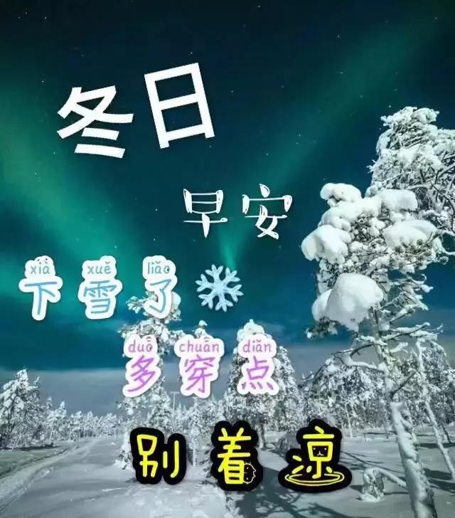 雪怕太阳草怕霜人怕没钱情怕伤早安