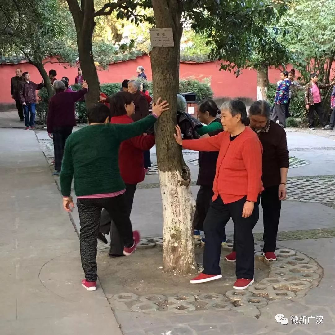 圍著樹拍手,踢腿,轉圈公園的角落 一群大爺大媽看不懂也不敢打擾組你