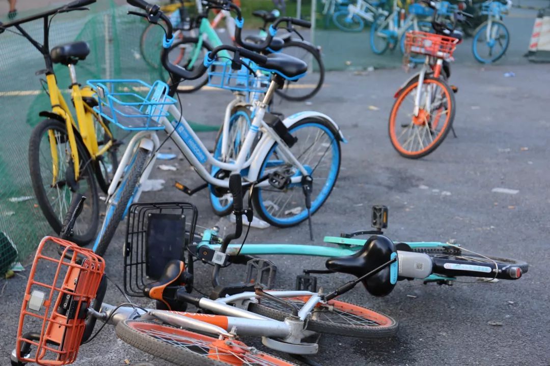 广东高校共享单车停放乱象何时休?