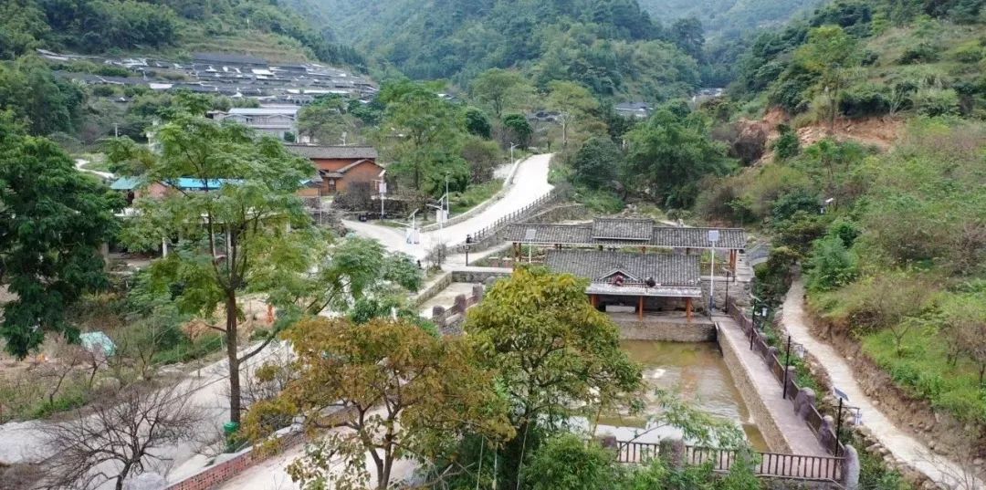 宾阳陈平的梅花开了！一起去登名山吗？还有奖品拿！_活动